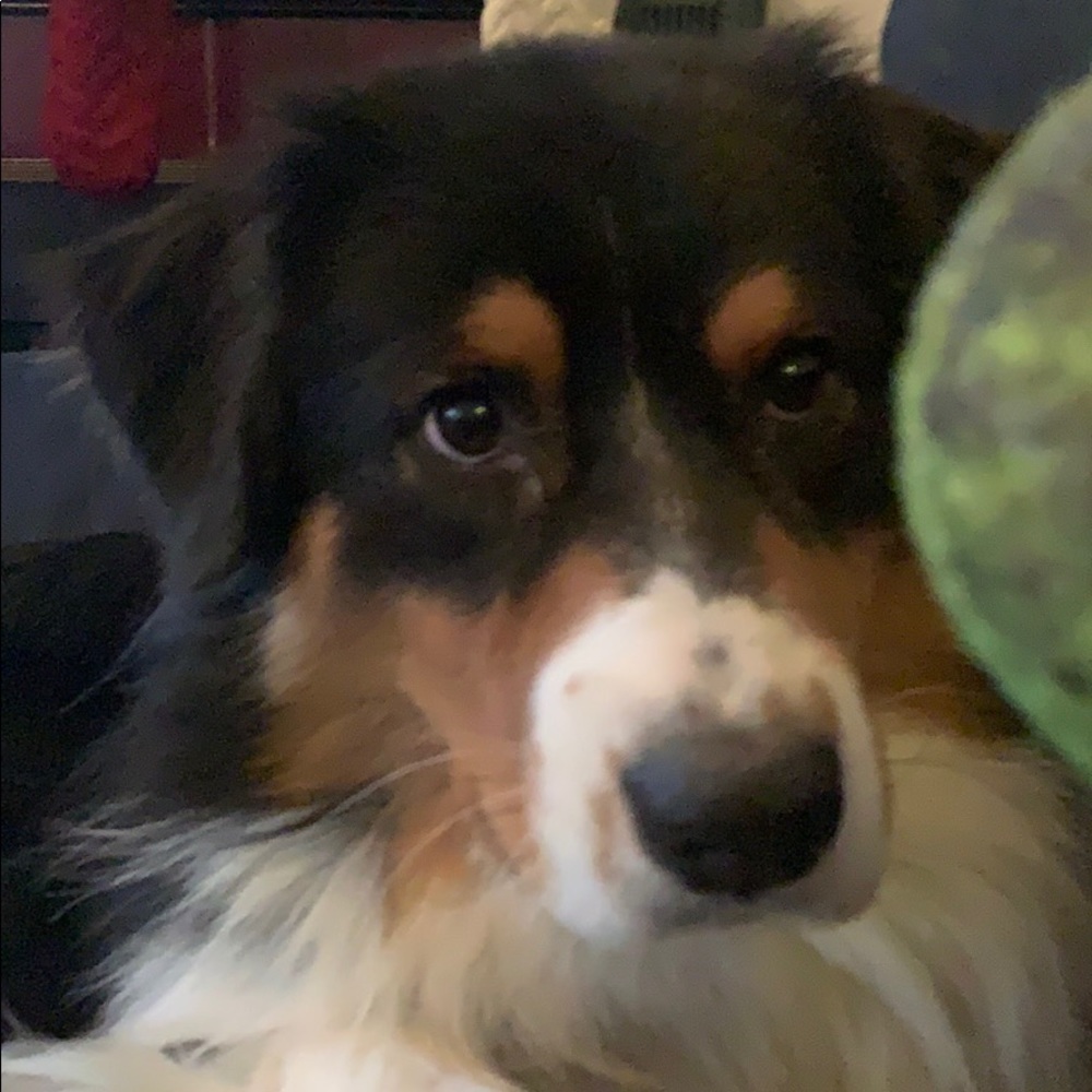 Meet your Posher, Kennedy